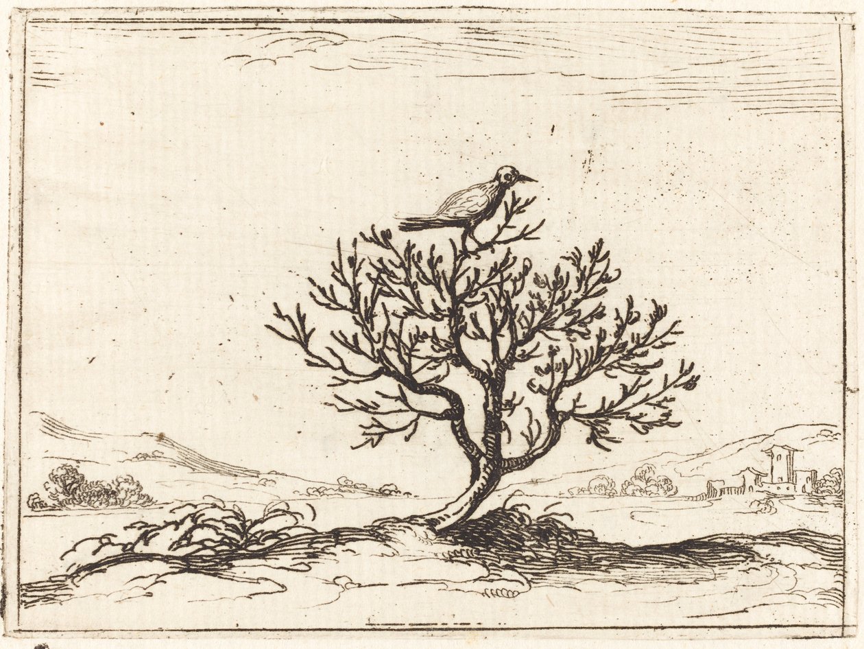 Satakieli pensaassa tekijältä Jacques Callot