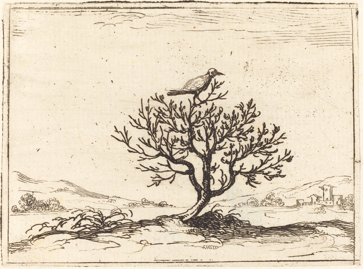 Satakieli pensaassa tekijältä Jacques Callot