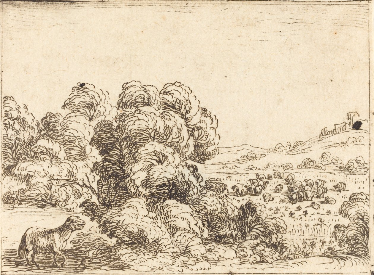 Lampaat kutsuvat lammasta tekijältä Jacques Callot