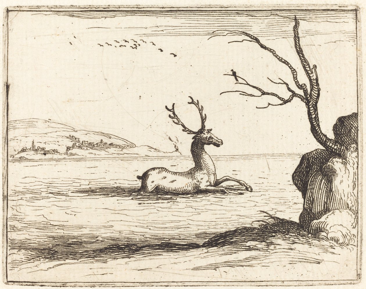 Stag in the Water tekijältä Jacques Callot