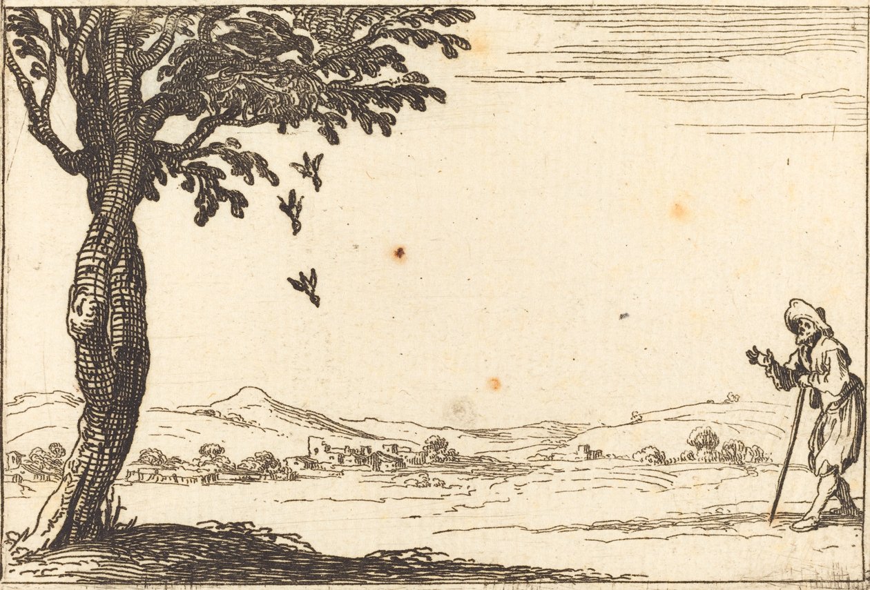 Varis ja hänen nuorensa tekijältä Jacques Callot