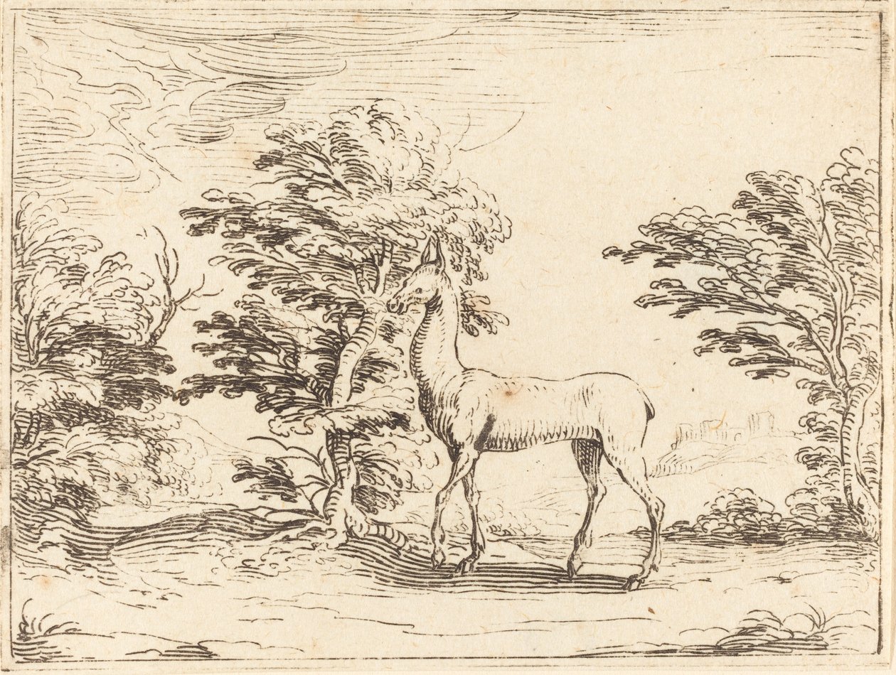 The Doe. tekijältä Jacques Callot