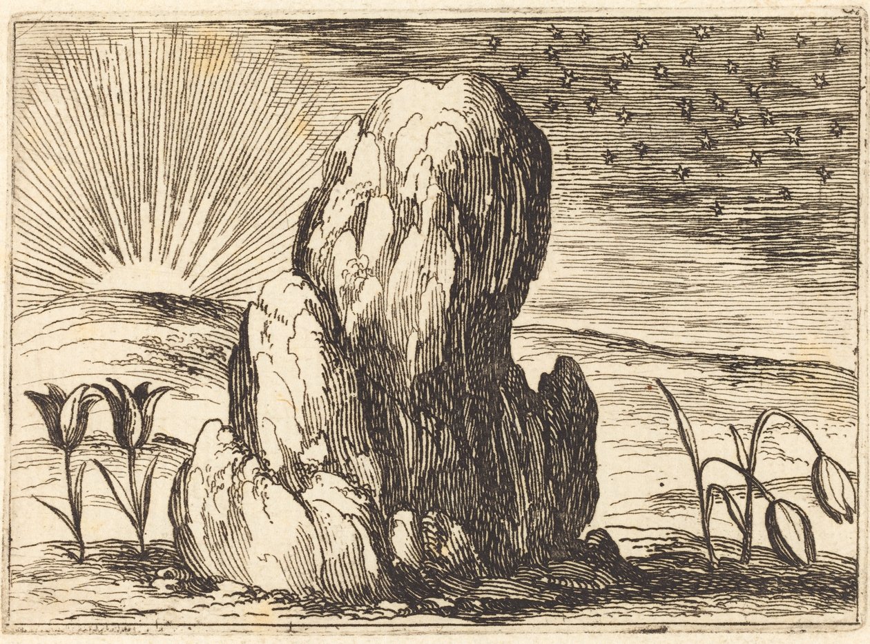 Tulppaanit ja aurinko tekijältä Jacques Callot