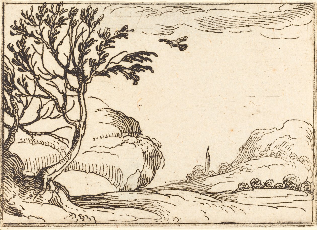 Tortuga volant al desert finlandès tekijältä Jacques Callot