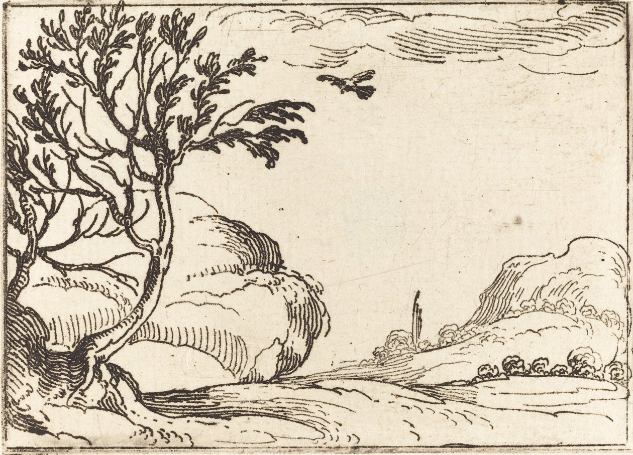 Turtle Dove Fly in the Desert tekijältä Jacques Callot