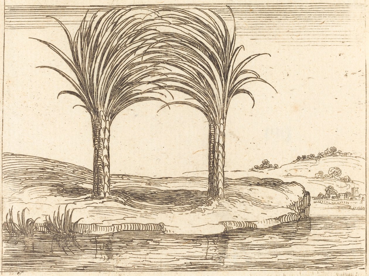 Kaksi palmua. tekijältä Jacques Callot