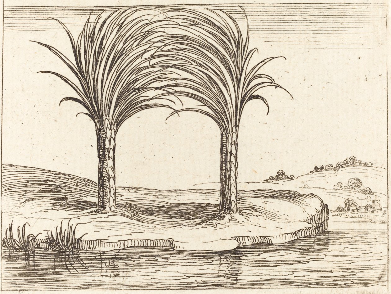 Kaksi palmua tekijältä Jacques Callot