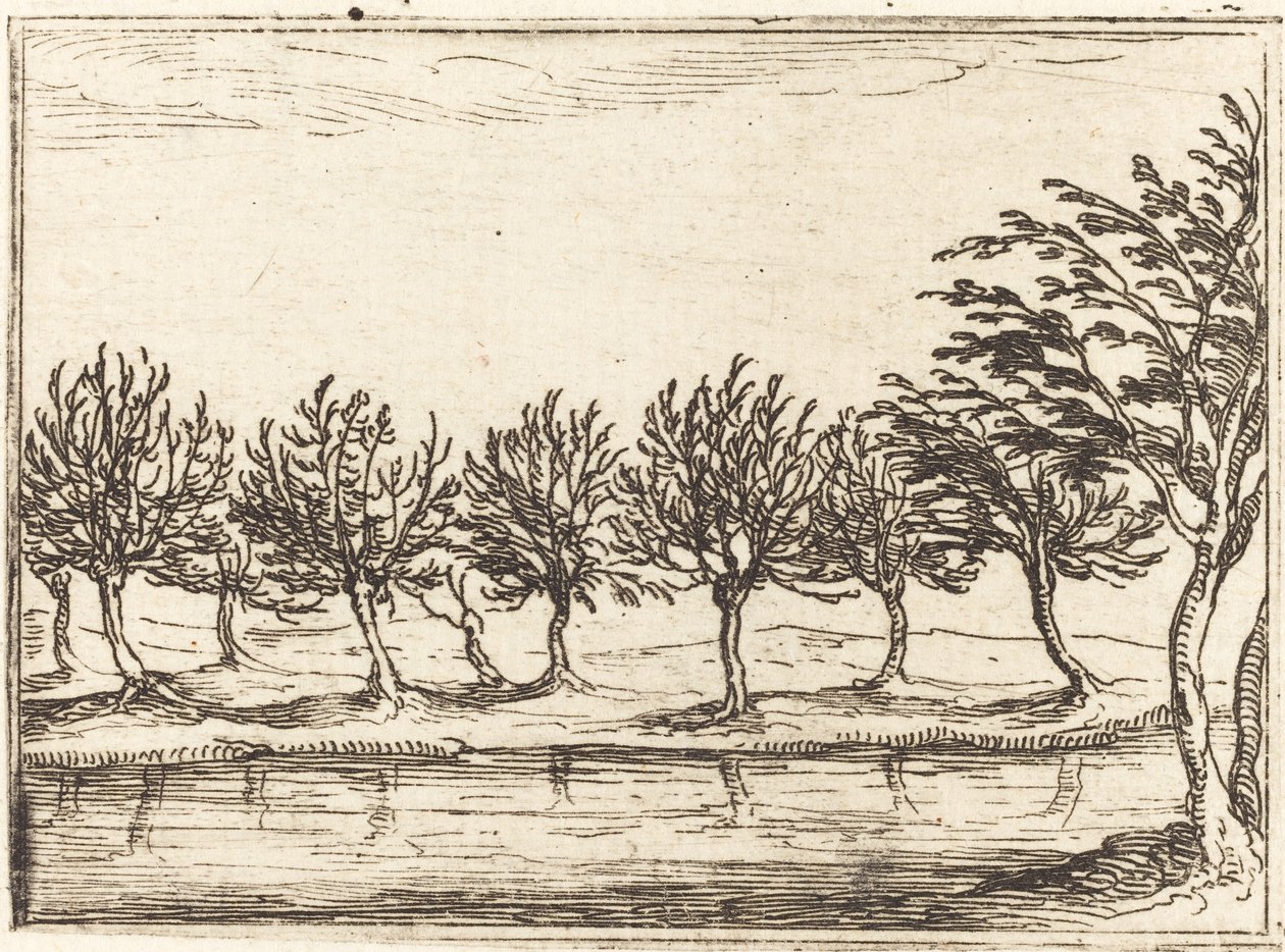 Pajuja veden äärellä tekijältä Jacques Callot