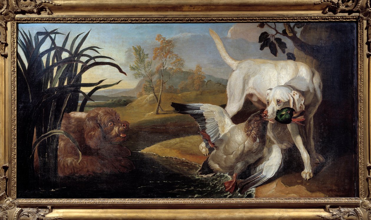 Braque koira pitelee sinisorsaa suussaan Jacques Charles Oudryn (1720-1778) maalaus 1700-luvun Pariisi, Koristetaiteet tekijältä Jacques Charles Oudry