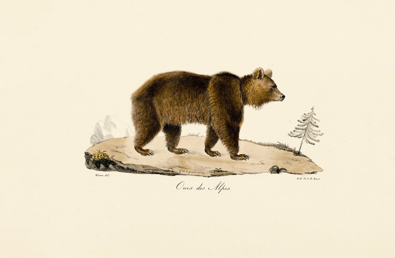  tekijältä Jacques Christophe Werner