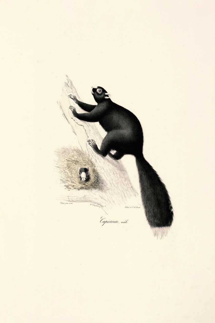  tekijältä Jacques Christophe Werner