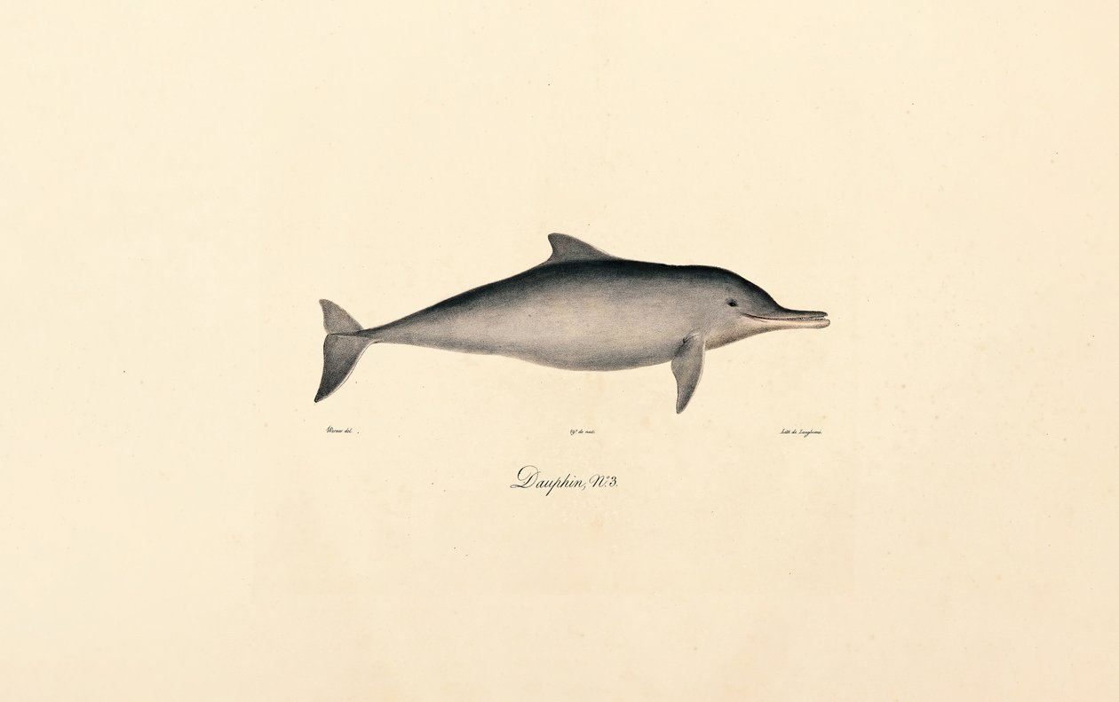  tekijältä Jacques Christophe Werner