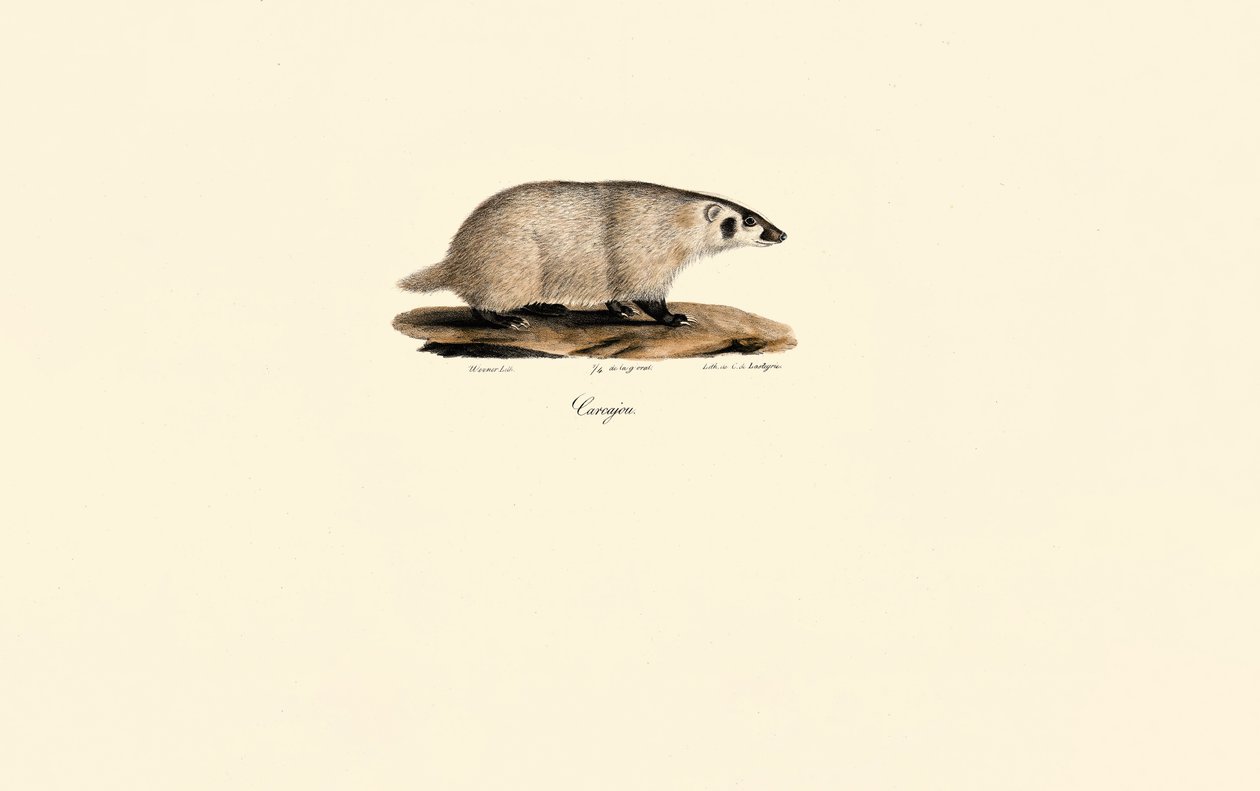  tekijältä Jacques Christophe Werner