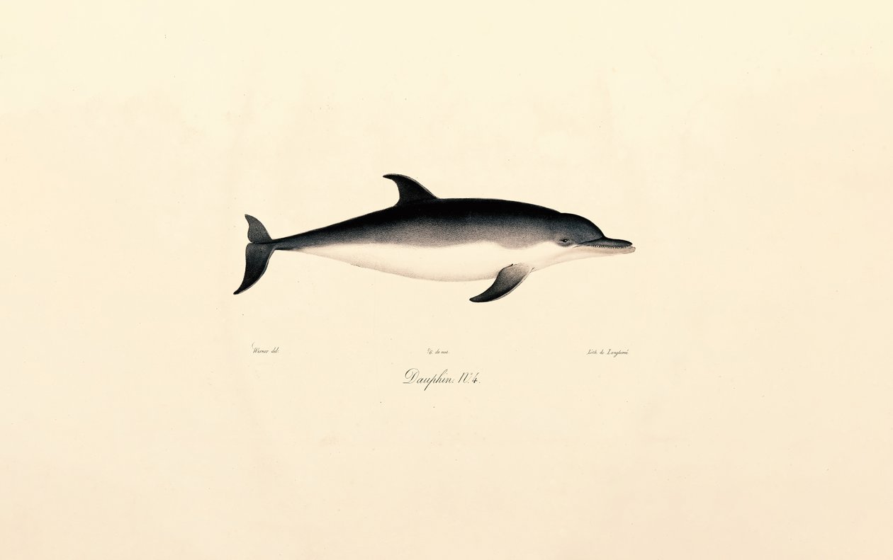  tekijältä Jacques Christophe Werner