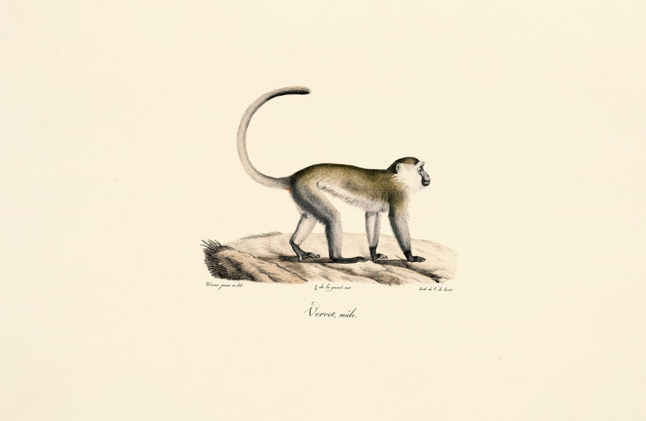  tekijältä Jacques Christophe Werner