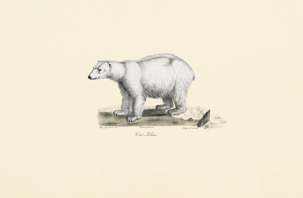  tekijältä Jacques Christophe Werner