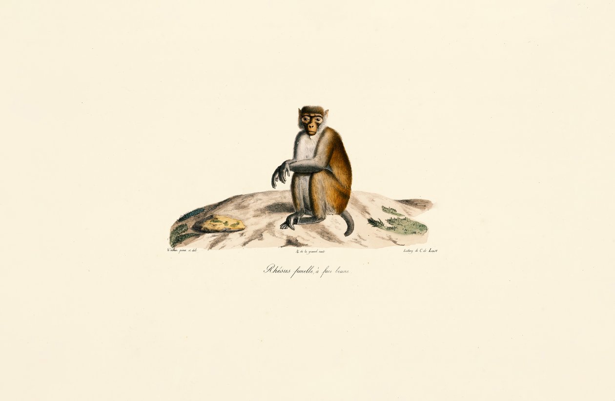  tekijältä Jacques Christophe Werner