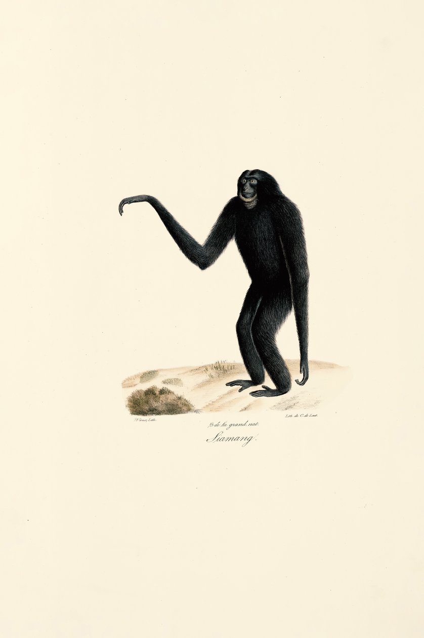  tekijältä Jacques Christophe Werner