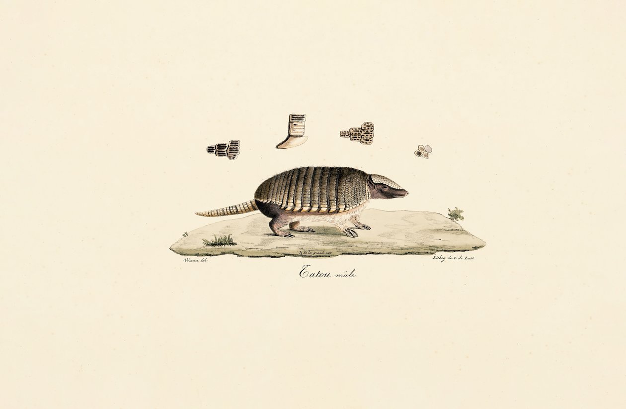 tekijältä Jacques Christophe Werner