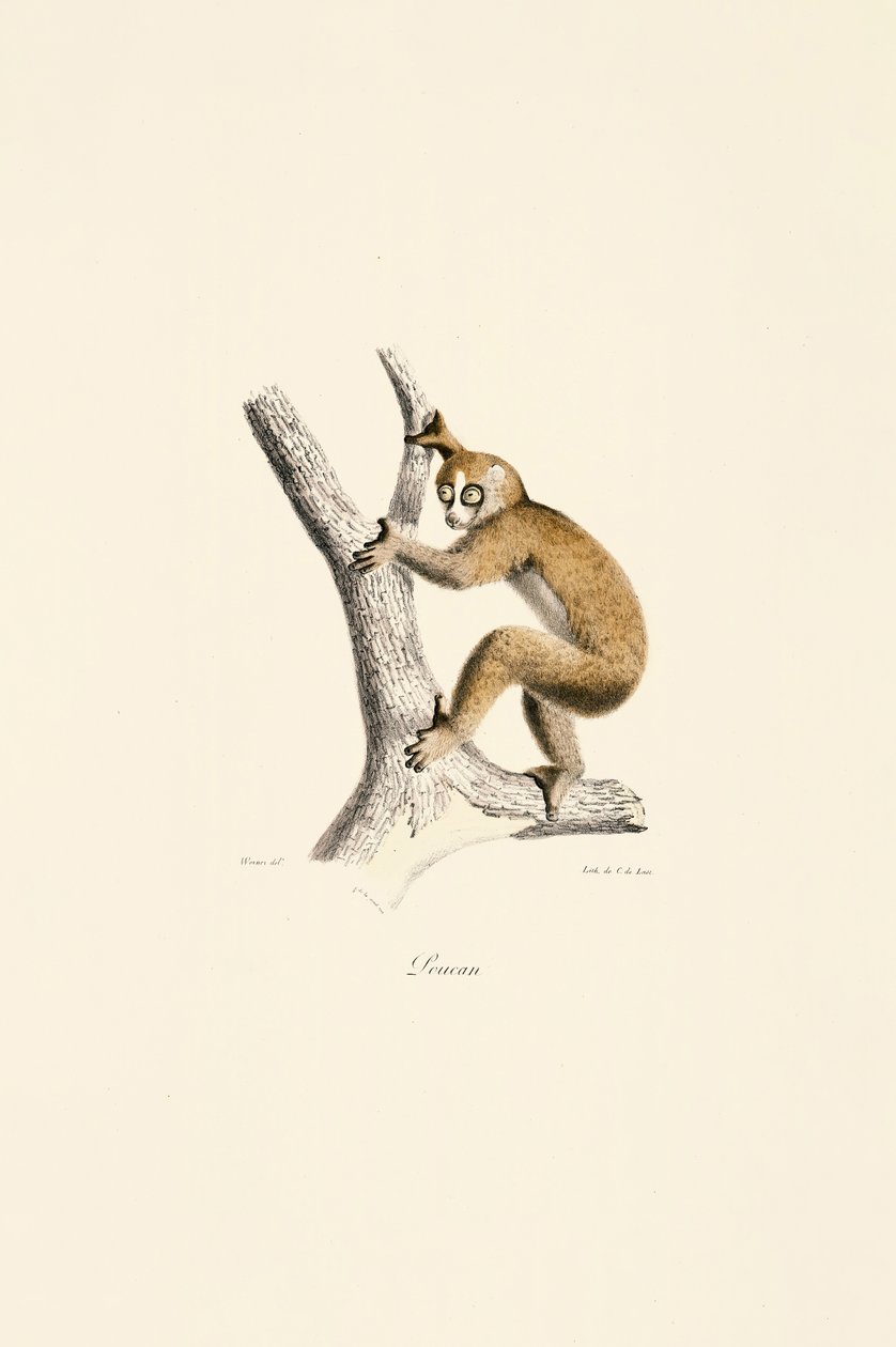  tekijältä Jacques Christophe Werner