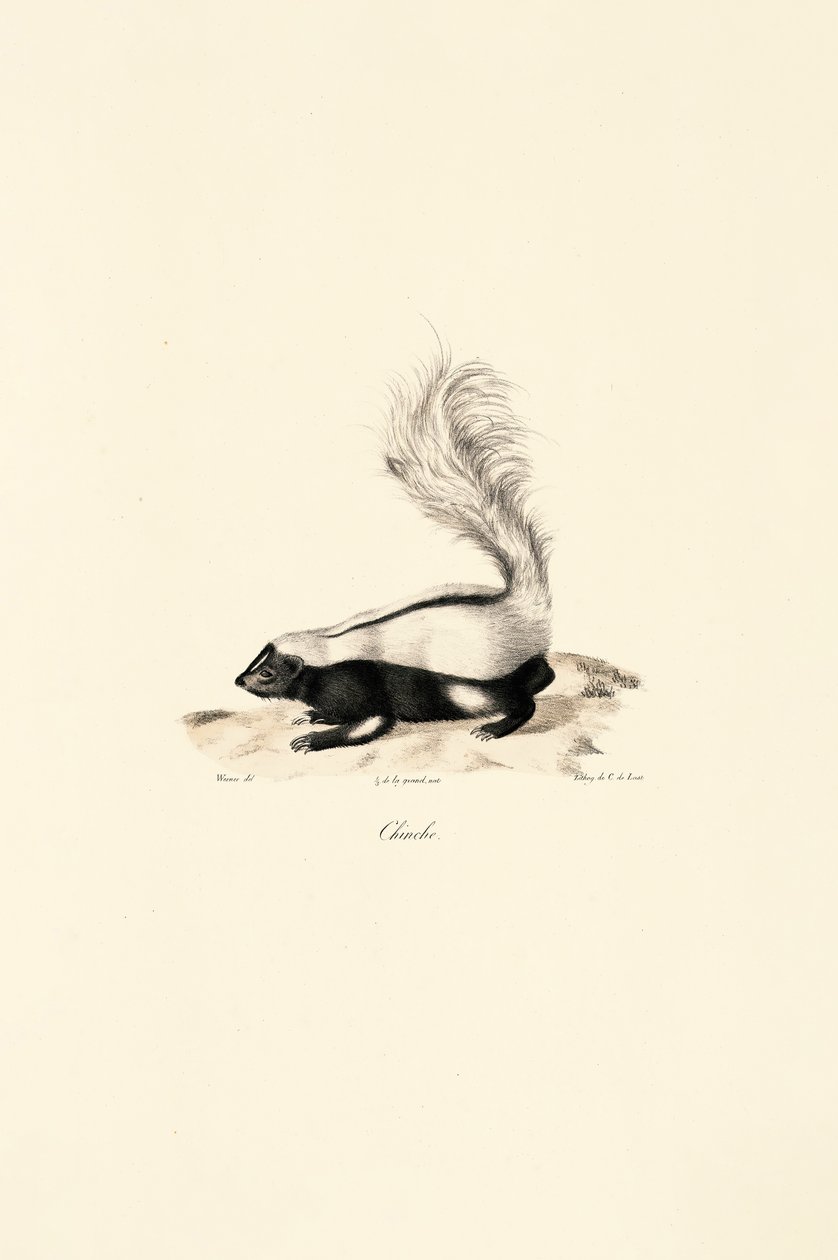  tekijältä Jacques Christophe Werner