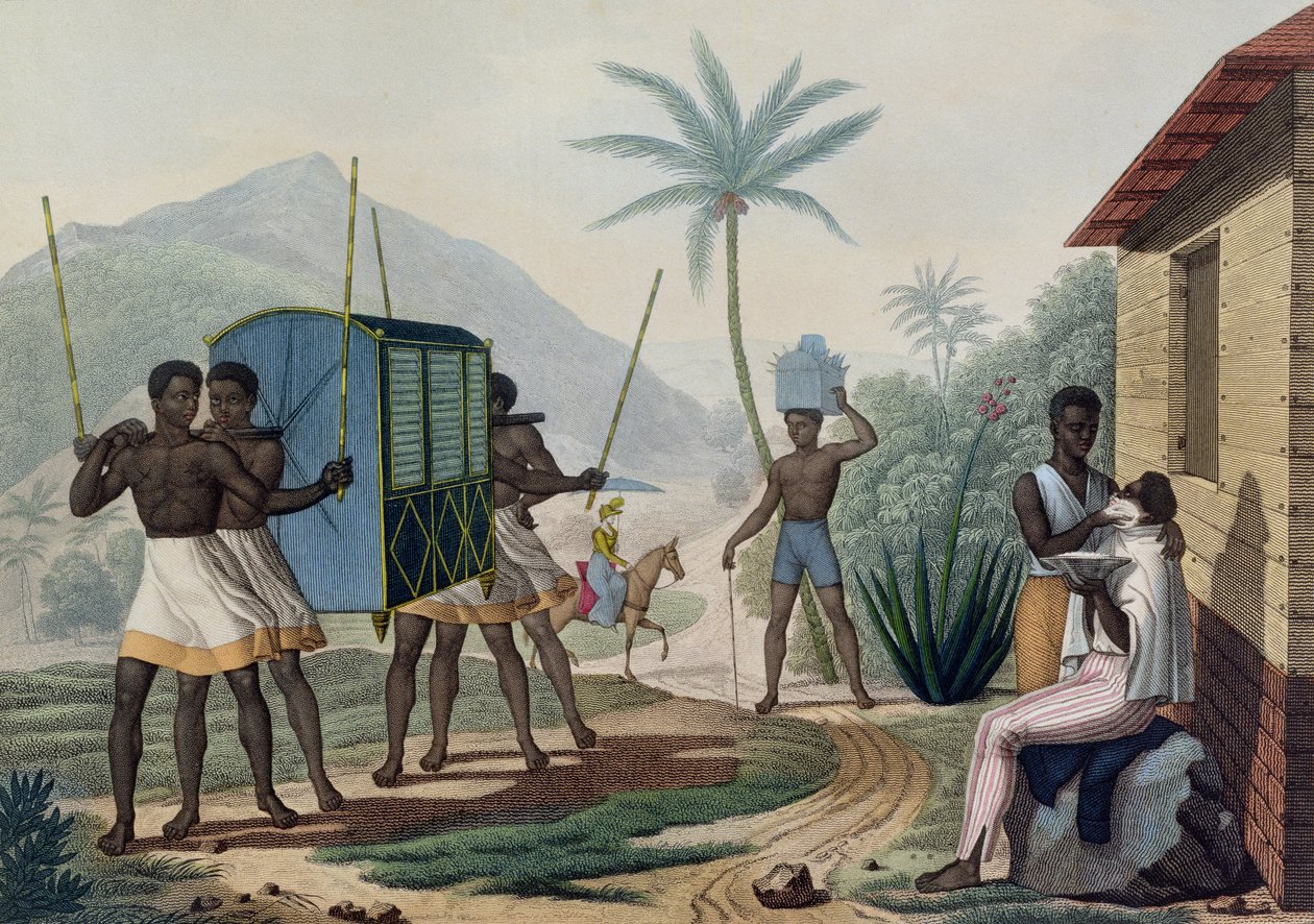 Palanquin, jota kuljetetaan Ile de Francessa, kirjasta "Voyage Autour du Monde sur les Corvettes de L