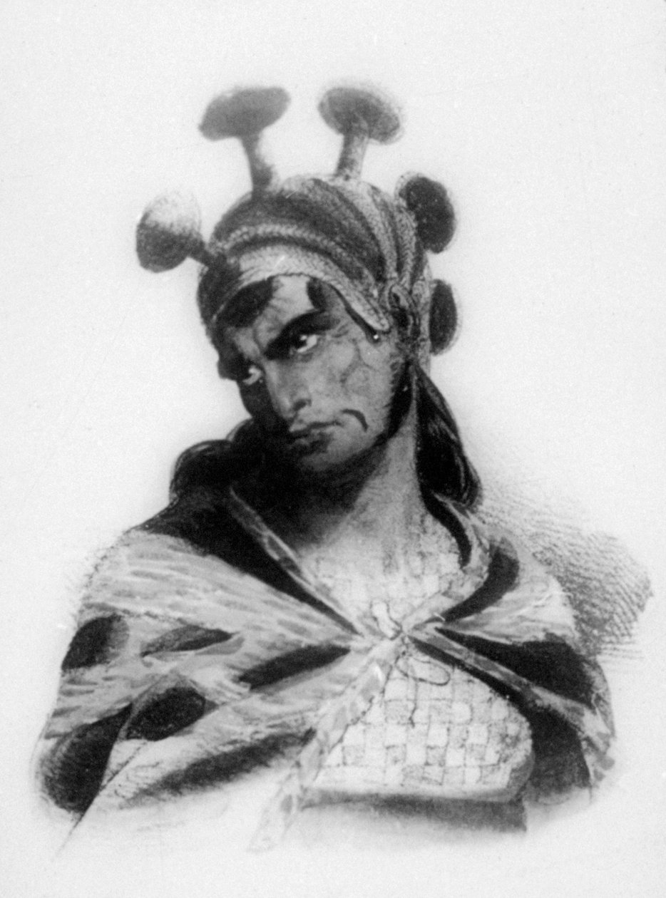 Havaijilainen soturi kypärässä, jossa on sienikoristettu harja, 1819 tekijältä Jacques Etienne Victor Arago