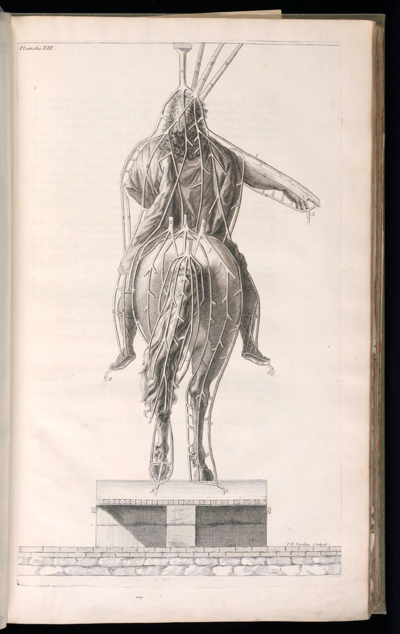 Sidottu painatus (Ranska) tekijältä Jacques François Blondel