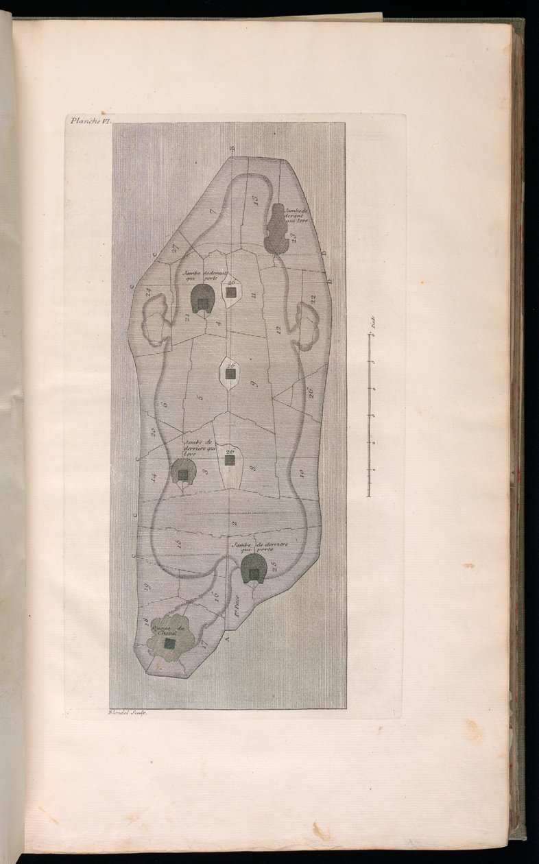 Sidottu painatus (Ranska) tekijältä Jacques François Blondel