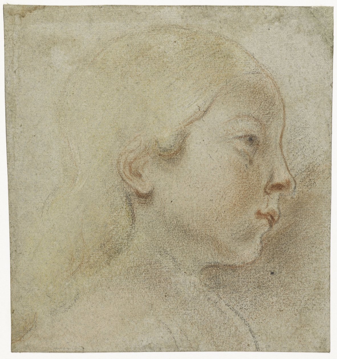 Lapsen pää, oikealle tekijältä Jacques Jordaens