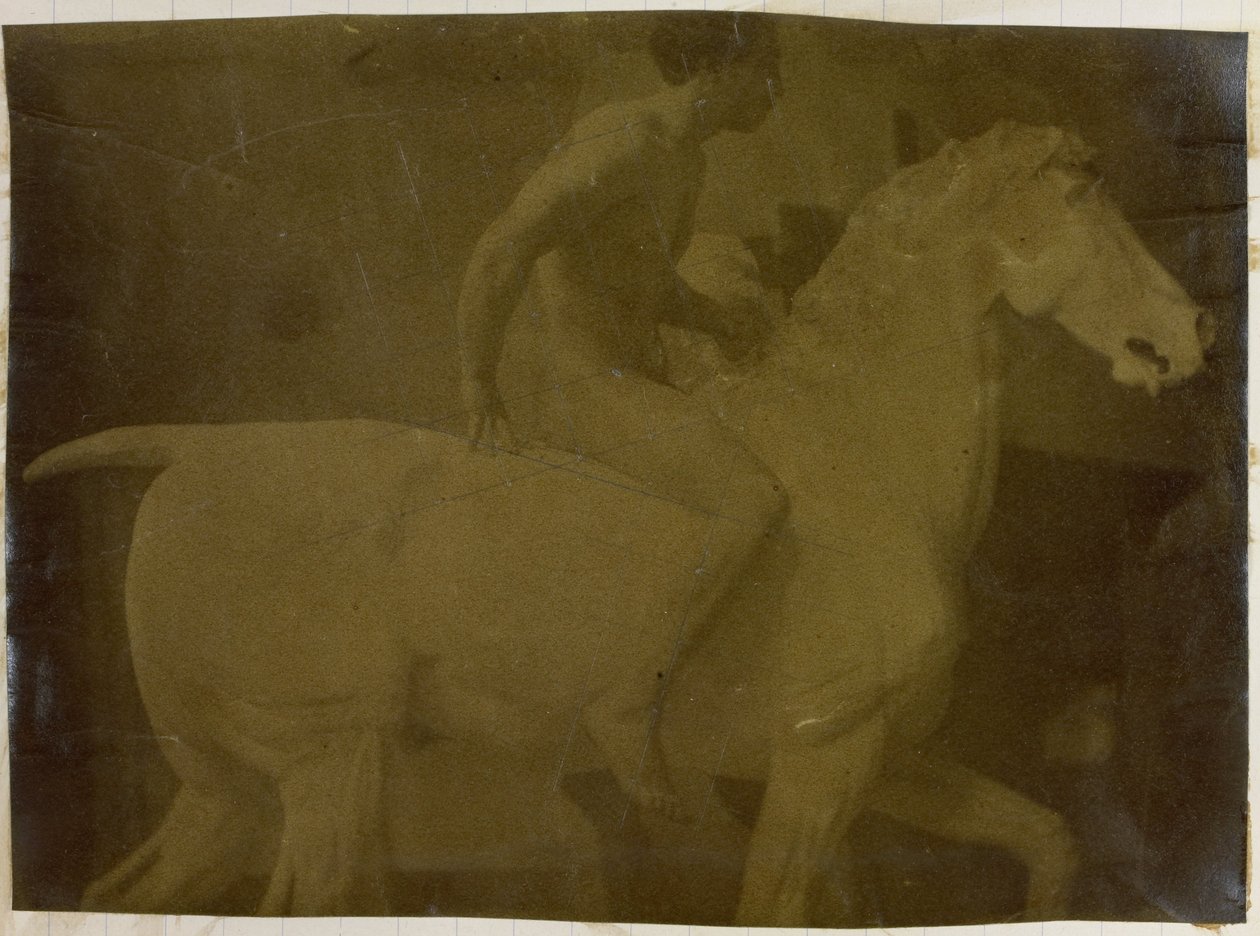 Tutkimus kipsihevosen selässä istuvasta miesalastomallista Jacques de Lalaingin studiossa, mahdollinen esiselvitys Gentin taidemuseon Equestrian Portrait -kuvaa varten tekijältä Jacques Lalaing (attributed to)