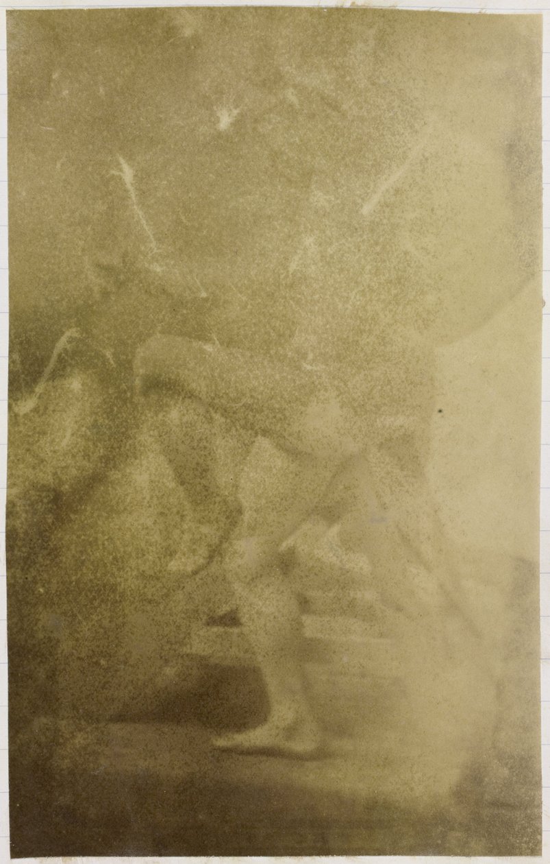 Miespuolisen alastonmallin tutkimus Jacques de Lalaingin studiossa tekijältä Jacques Lalaing (attributed to)