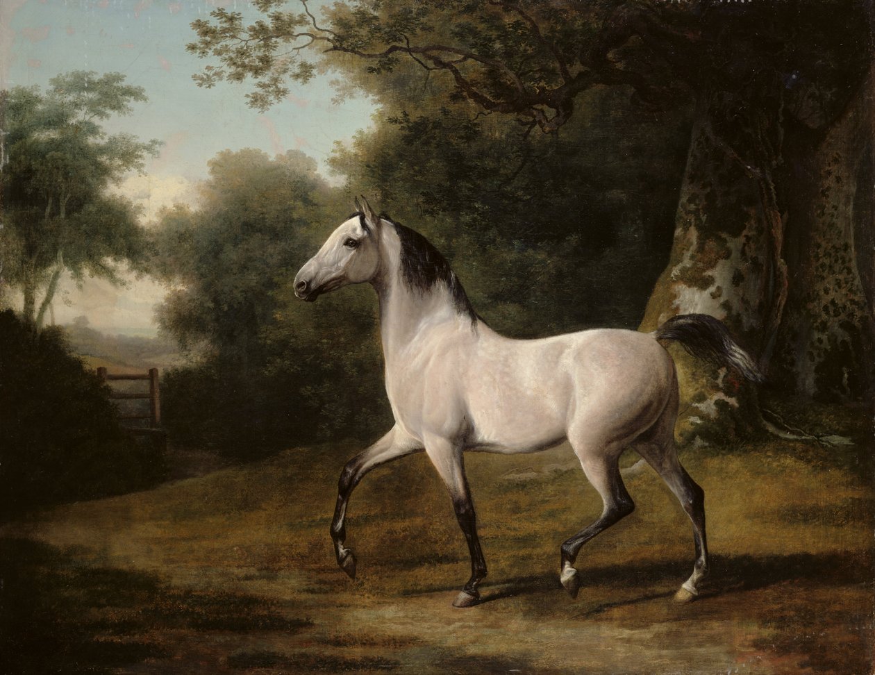 Harmaa arabiorii metsäisessä maisemassa tekijältä Jacques Laurent Agasse