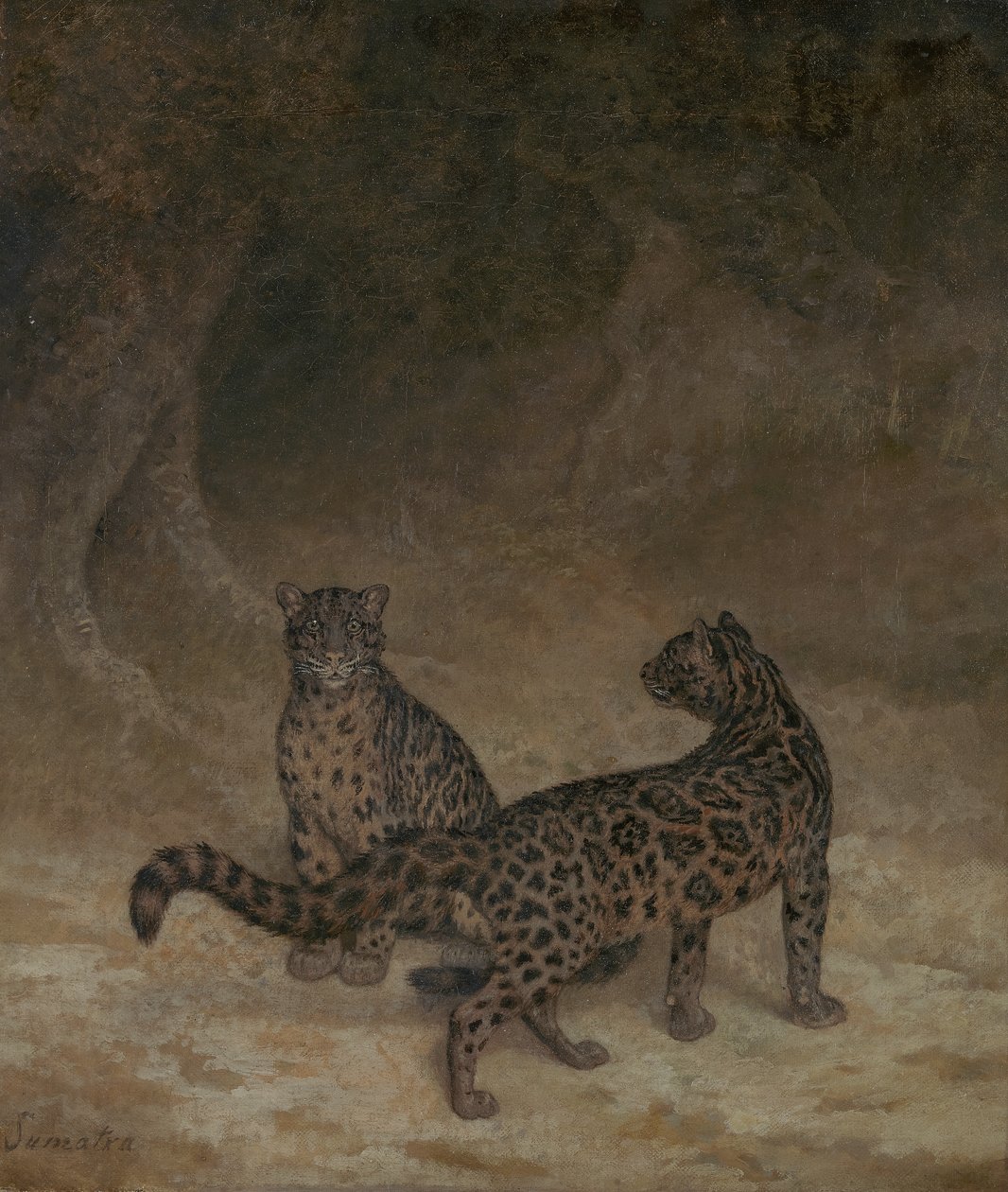 Pilviset leopardit, n. 1825 tekijältä Jacques Laurent Agasse