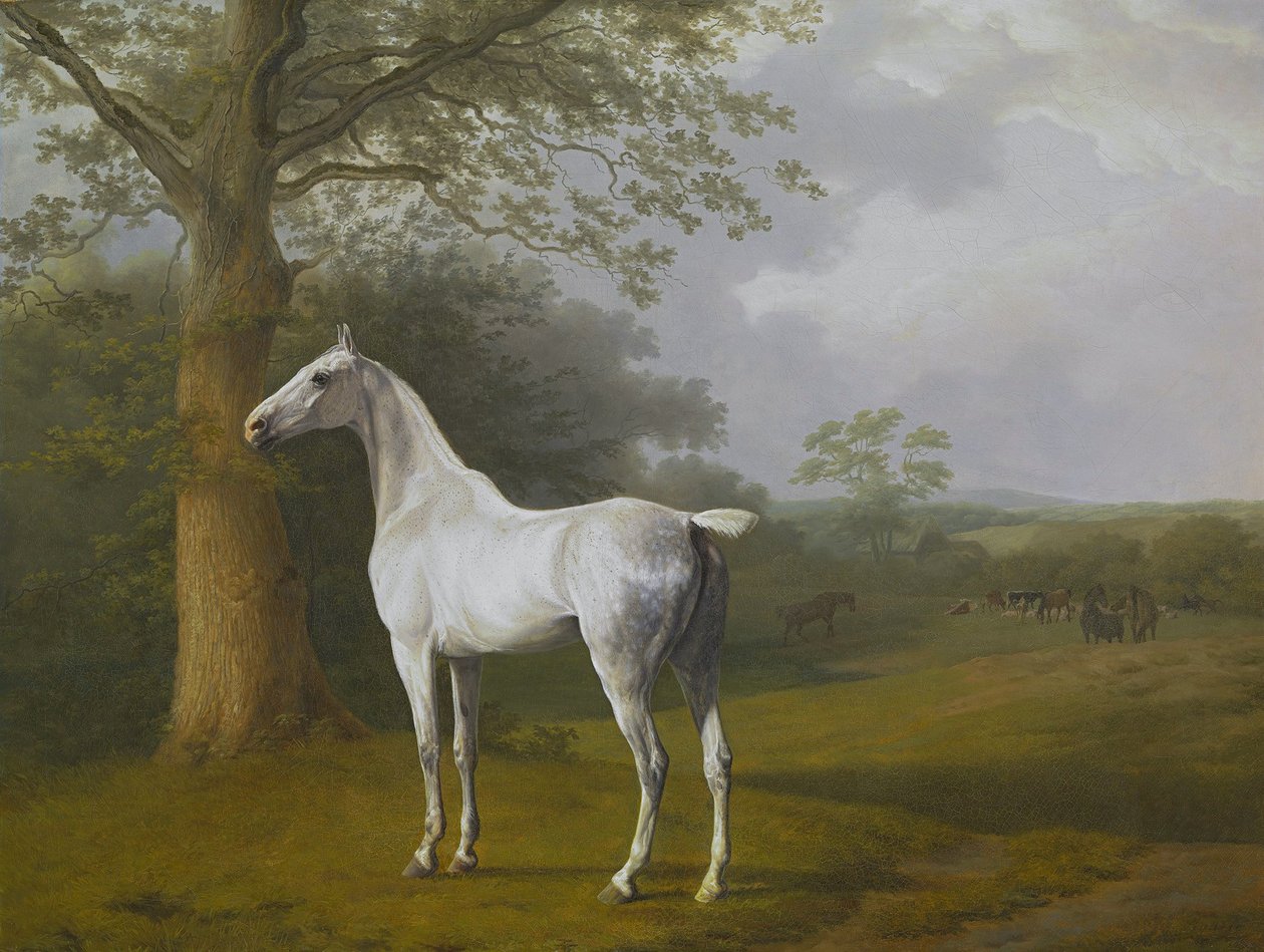 Harmaa hevonen laitumella tekijältä Jacques Laurent Agasse