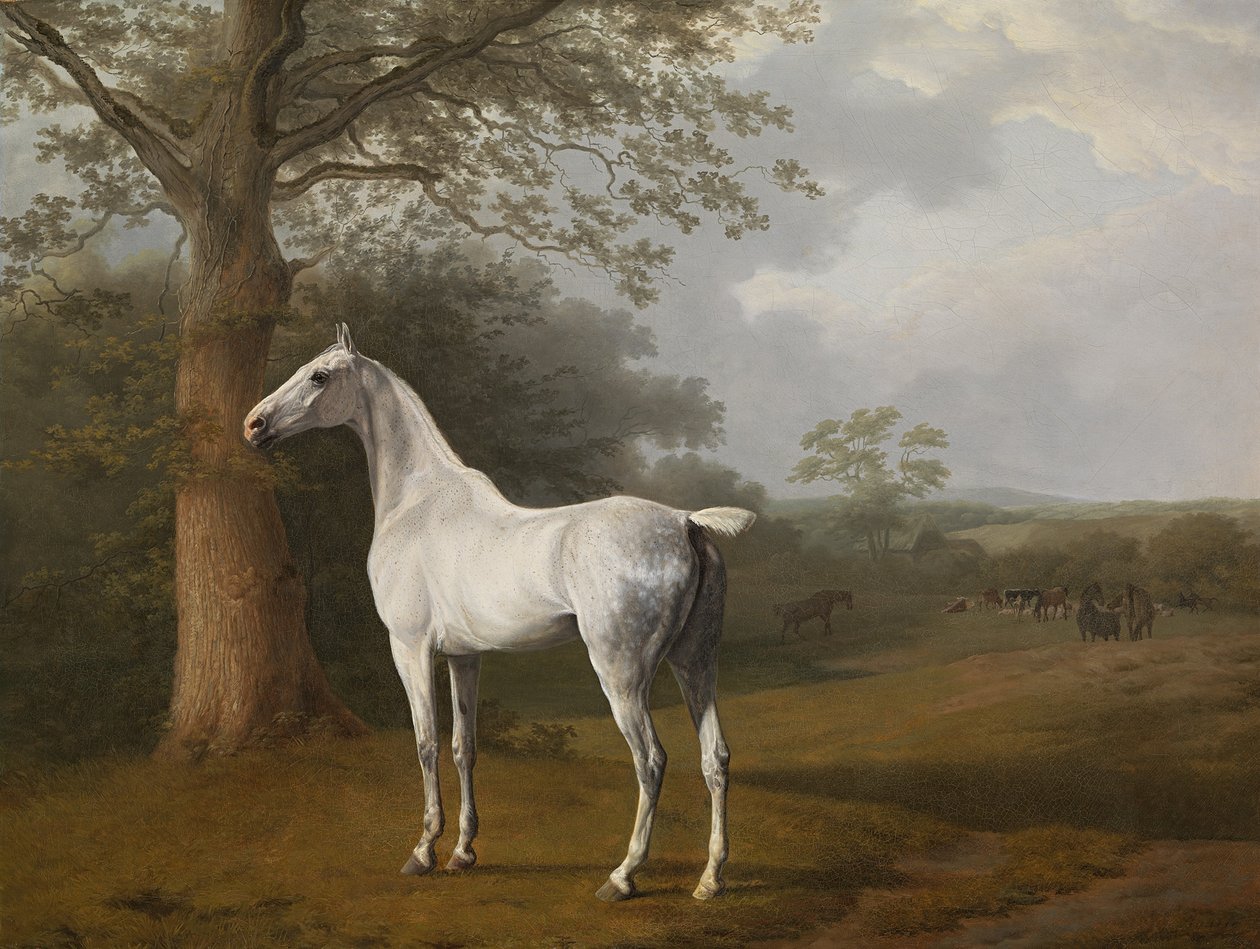 Harmaa hevonen niityllä tekijältä Jacques Laurent Agasse