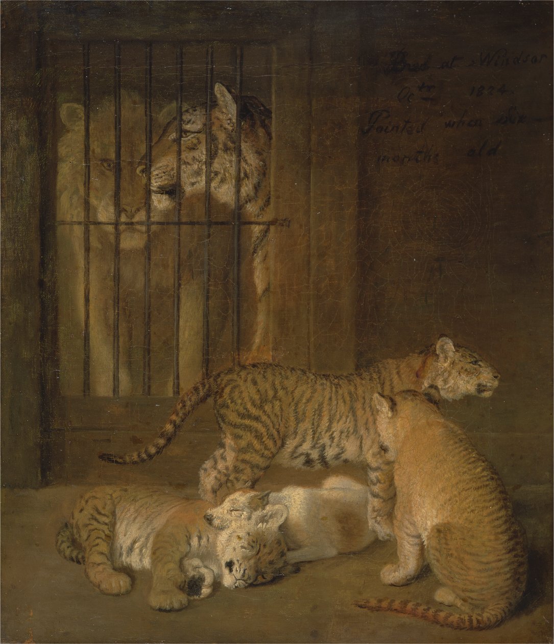 Leijonan ja tiikerin välissä kasvanut penturyhmä tekijältä Jacques Laurent Agasse