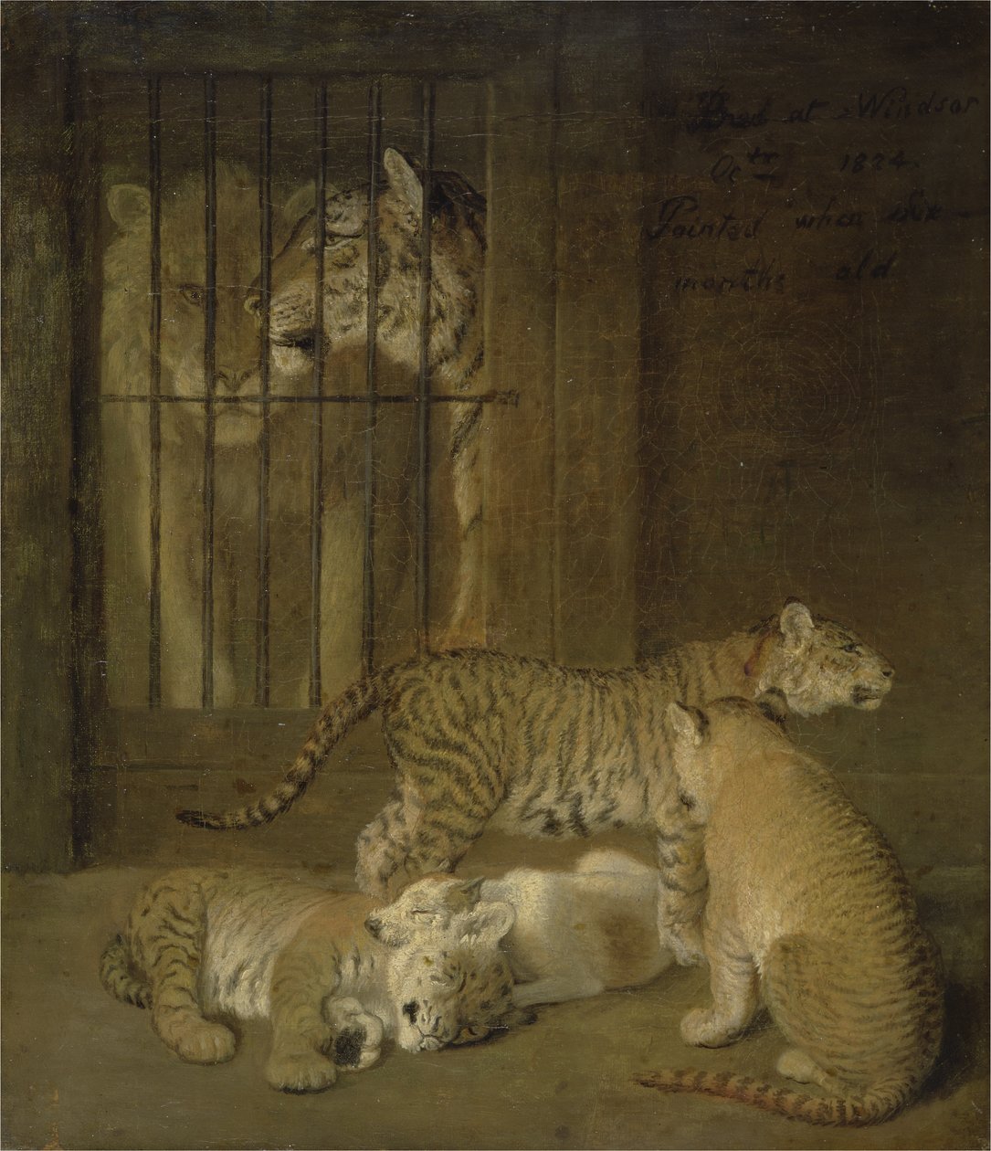 Leijonan ja tiikerin välissä lisääntynyt penturyhmä tekijältä Jacques Laurent Agasse