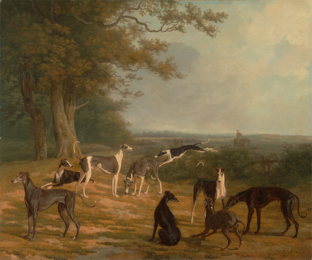Yhdeksän vinttikoiraa maisemassa tekijältä Jacques Laurent Agasse