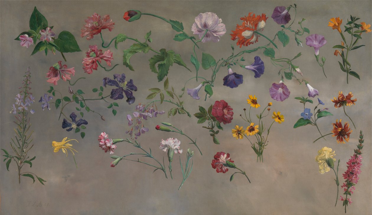 Studies of Flowers [1985, Cormack, YCBA Concise Catalogue] tekijältä Jacques Laurent Agasse