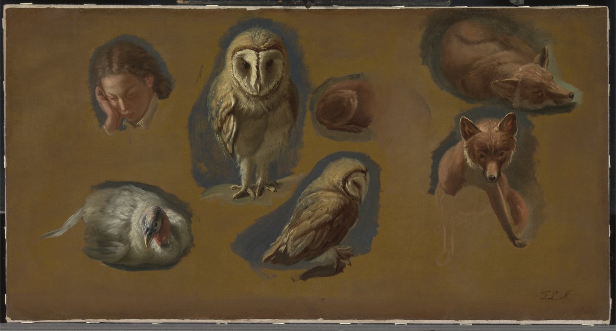 Tutkimuksia ketusta, pöllöstä, herneestä ja nuoren miehen päästä tekijältä Jacques Laurent Agasse