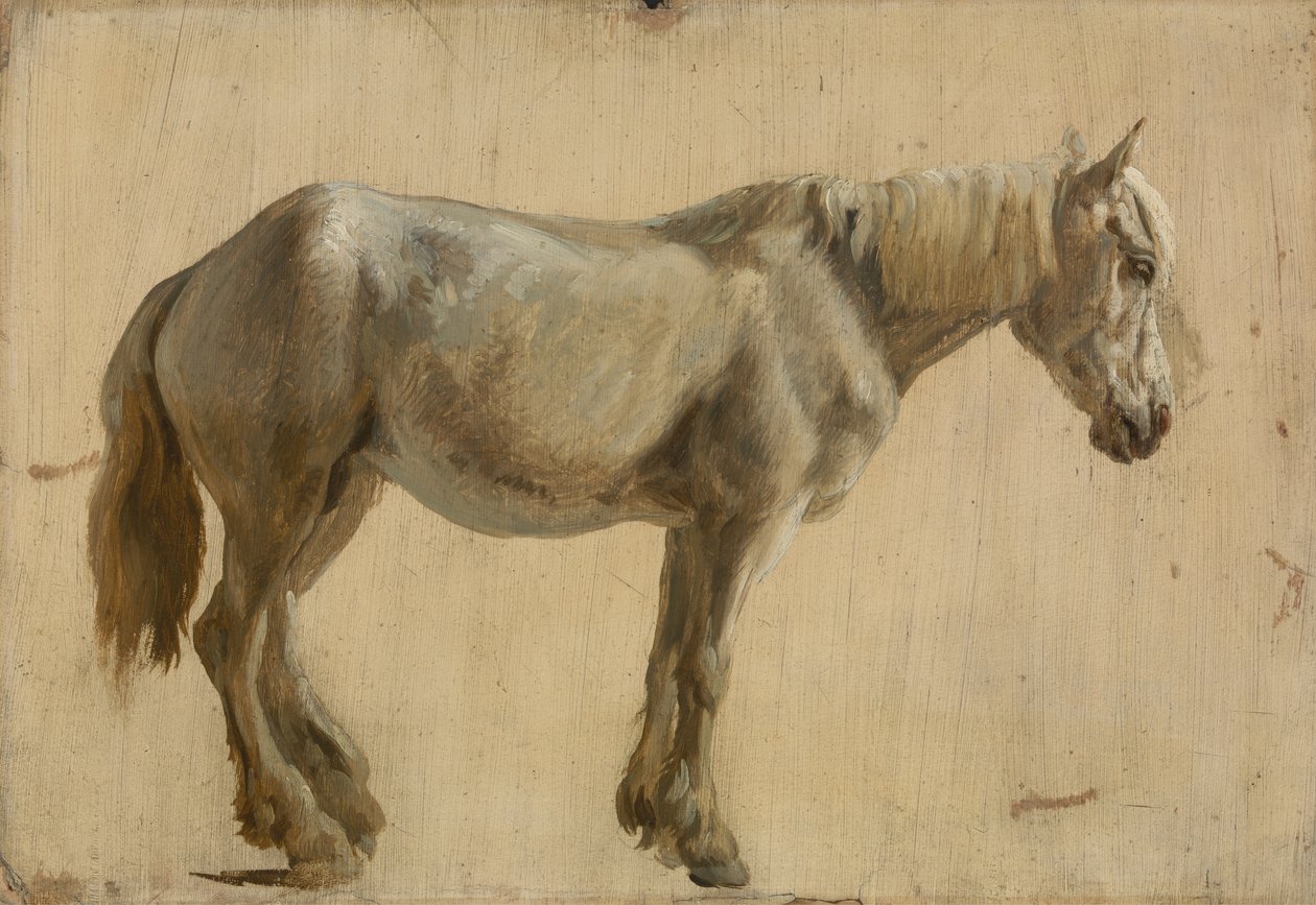 Harmaan hevosen tutkimus (öljy paperille) tekijältä Jacques Laurent Agasse