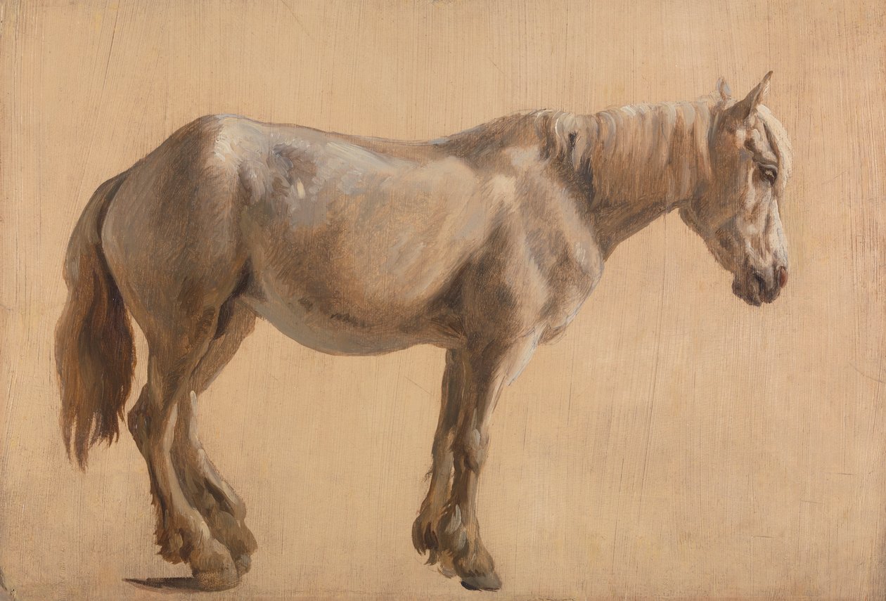 Harmaan hevosen tutkimus tekijältä Jacques Laurent Agasse