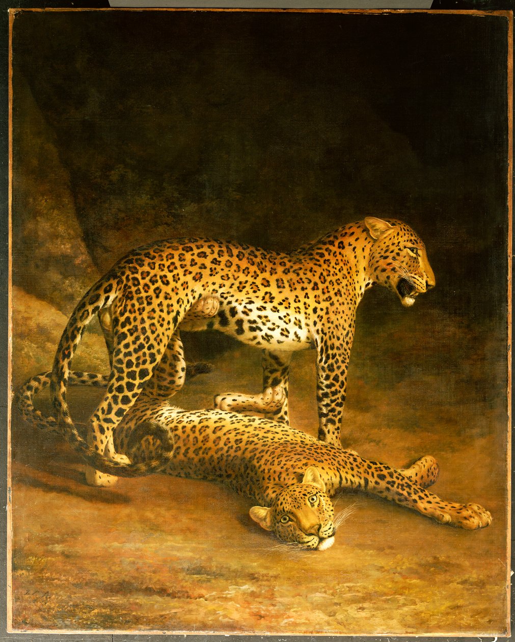 Kaksi leopardia makaamassa Exeterin pörssissä, 1808 tekijältä Jacques Laurent Agasse