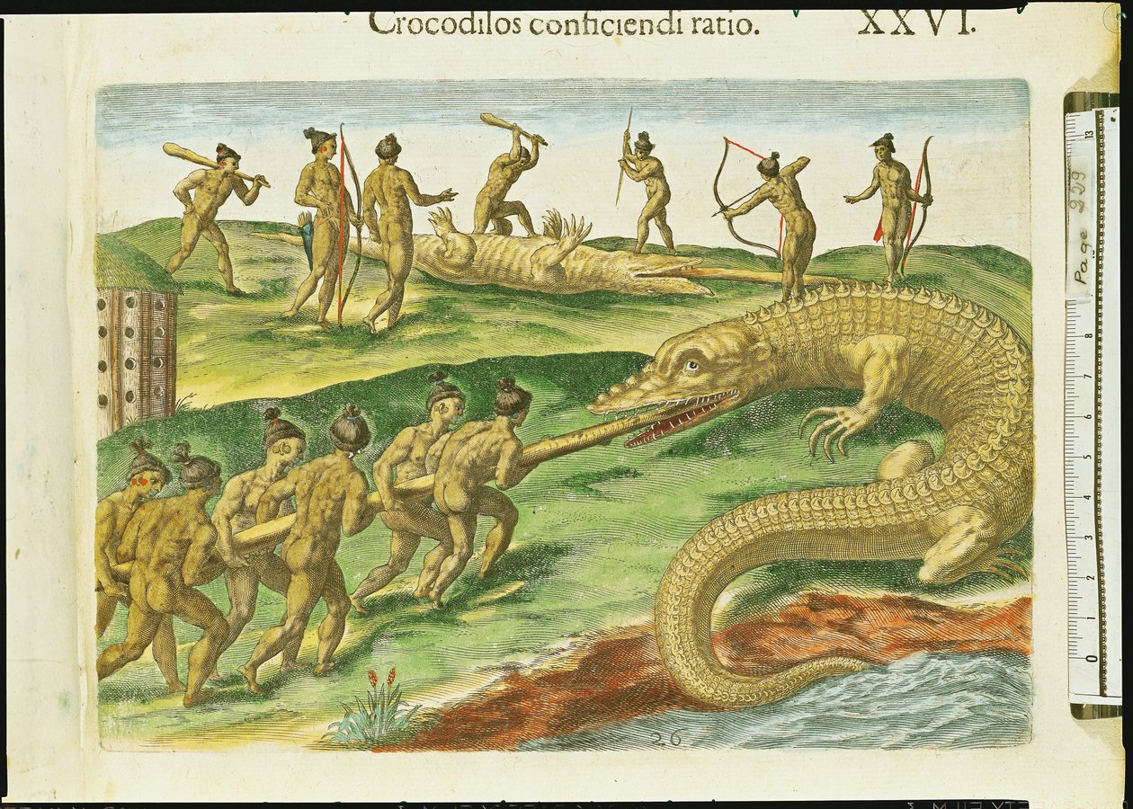 Metsästyskrokotiilit, "Brevis Narratiosta", kaiverrus Theodore de Bry (1528-98) 1563 (yksityiskohta 180138) tekijältä Jacques Le Moyne