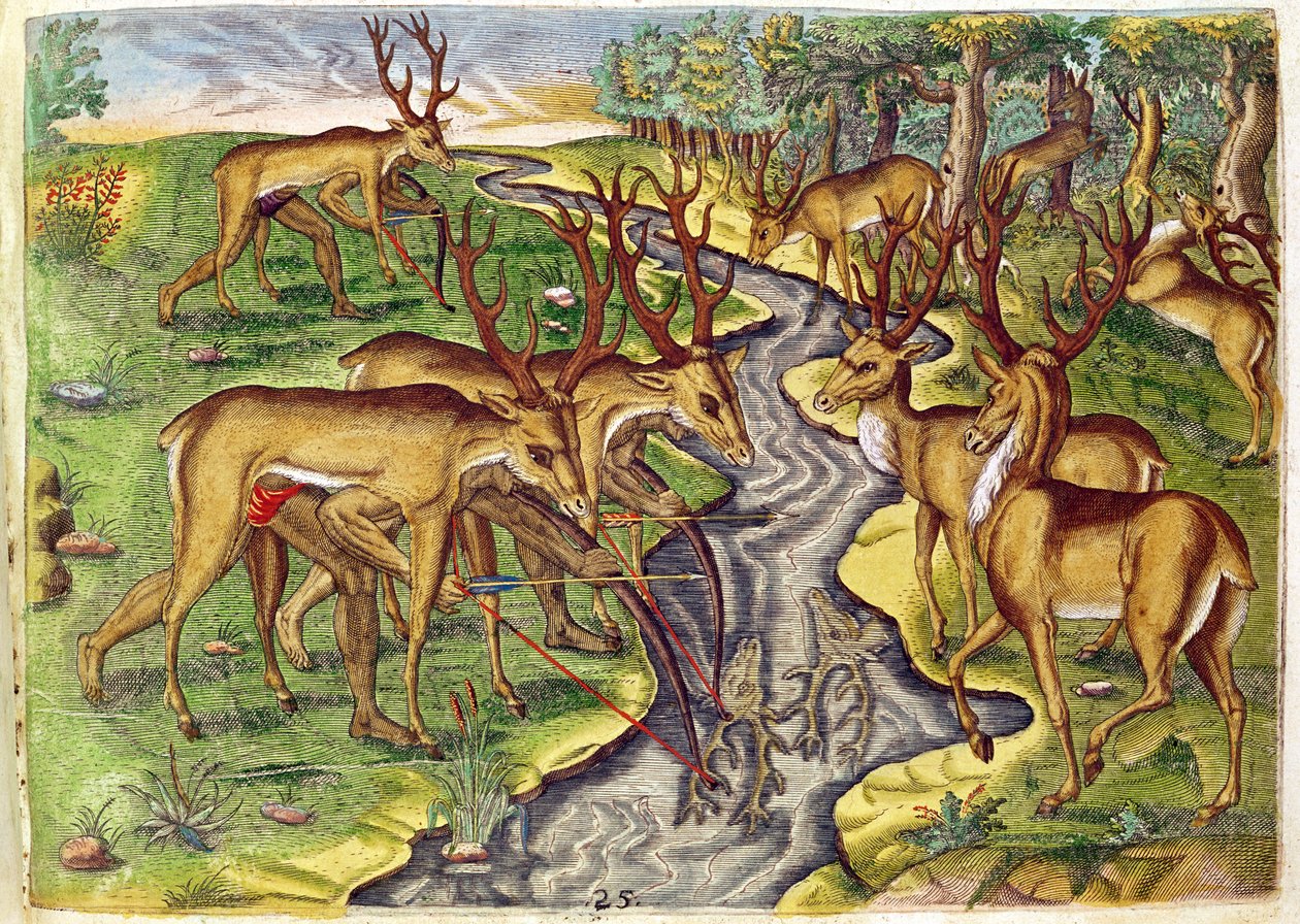 Stag Hunt, Brevis Narratiosta..., kaiverrettu Theodore de Bry (1528-98) 1563 tekijältä Jacques Le Moyne