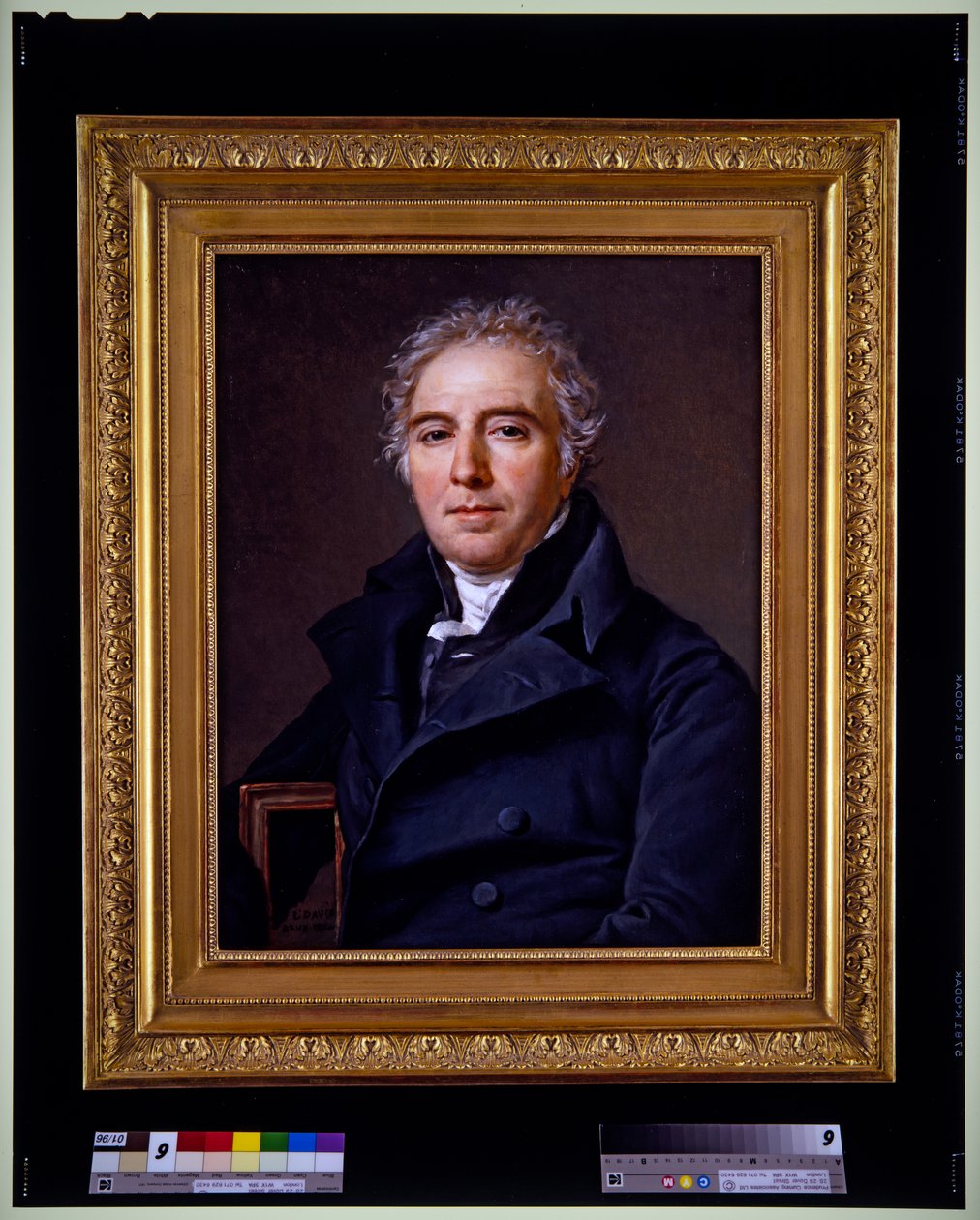 Muotokuva D.V. Ramel de Nogaretista tekijältä Jacques Louis David