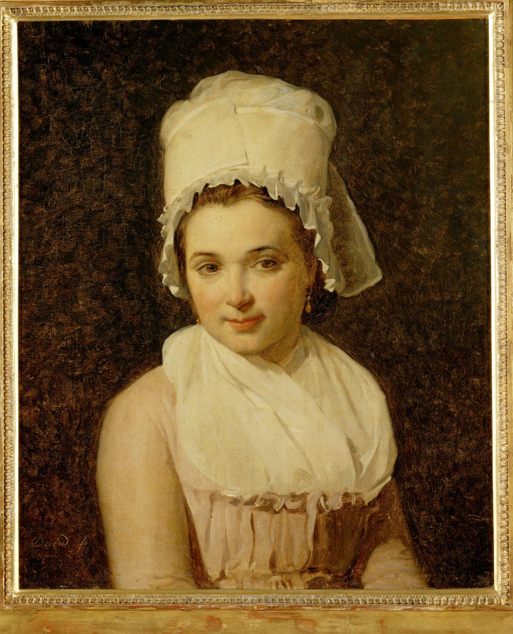 Catherine-Marie-Jeanne Tallard, Sougere/Yonnen kunnanjohtajan Francois Lamyn vaimo ... tekijältä Jacques Louis David