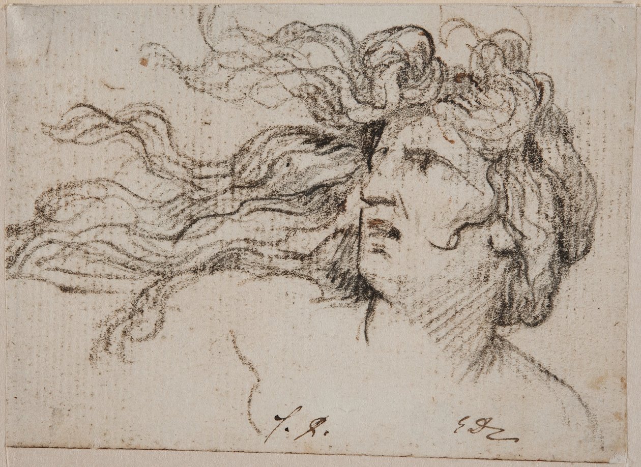 Naisen pää ja hulmuavat hiukset tekijältä Jacques Louis David