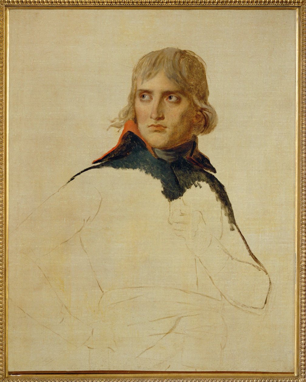Napoleon Bonaparte ... tekijältä Jacques Louis David